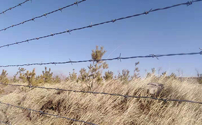 圈地刺鐵絲圍欄 圈地刺鐵絲圍欄