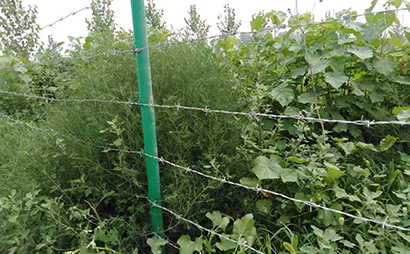 圈地刺鐵絲圍欄 圈地刺鐵絲圍欄