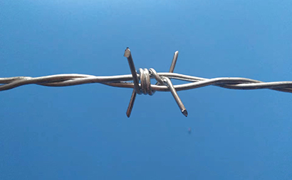 雙股熱鍍鋅刺繩(鐵蒺藜)