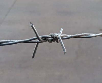 刺鐵絲.jpg 刺鐵絲.jpg