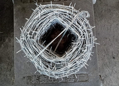 刺鐵絲.jpg 刺鐵絲.jpg