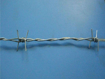 刺鋼絲.jpg 刺鋼絲.jpg