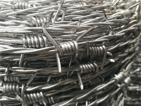 帶刺鋼絲網.jpg 帶刺鋼絲網.jpg