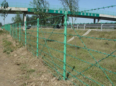 刺鐵絲.jpg 刺鐵絲.jpg