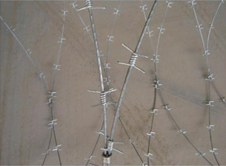 單股.jpg 單股.jpg