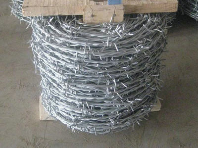 圖片.jpg 圖片.jpg